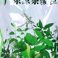 王老吉广东凉茶颗粒