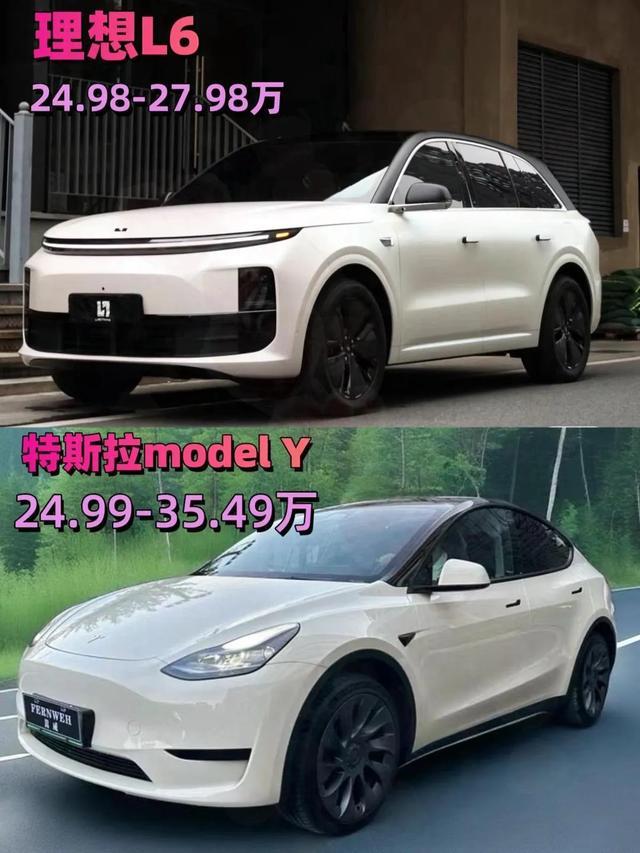 理想L6与特斯拉Model Y全方位对比：究竟谁能称王？