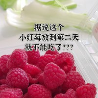 你吃过新鲜的小红莓吗？据亲戚说放到第二天就不能吃了?