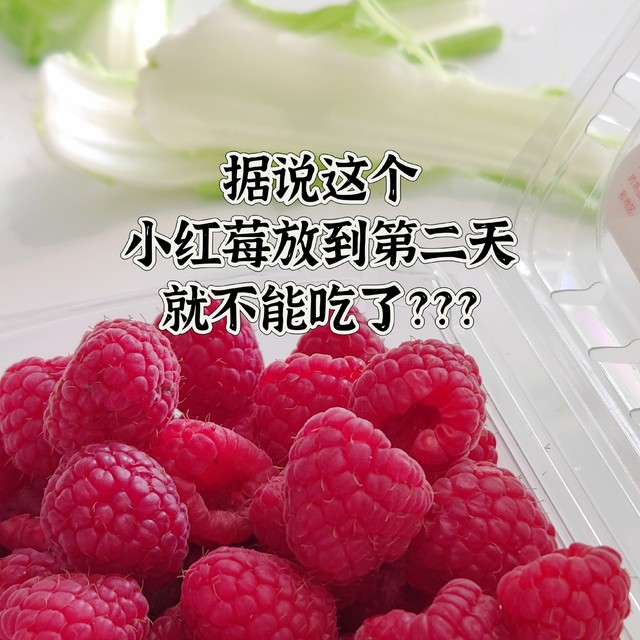 你吃过新鲜的小红莓吗？据亲戚说放到第二天就不能吃了?