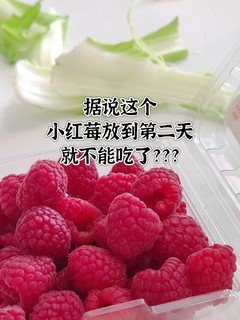 你吃过新鲜的小红莓吗？据亲戚说放到第二天就不能吃了?