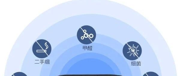 三款高性价比车载空气净化器推荐