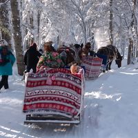 打卡雪地骑行，带小朋友来老里克湖骑马