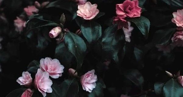 婴儿推车选购指南 多维度对比不同款式 附常见问题解答