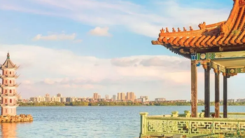 10万+点赞的开年黑马！高铁直达！深藏“包邮区洱海”，喂海鸥、赏梅花...今年开春玩法给整明白了！ 