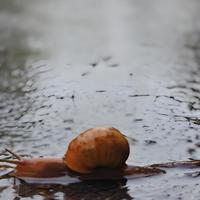 ☁️阴天☔️分享我心中的阳光