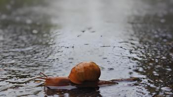 ☁️阴天☔️分享我心中的阳光