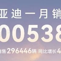 中国销冠 比亚迪 25 年 1 月销售30 万台