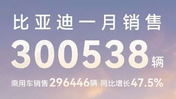 中国销冠 比亚迪 25 年 1 月销售30 万台