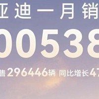 1月销量超30万辆，比亚迪稳坐中国品牌汽车销冠宝座

