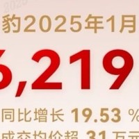 中国销冠比亚迪25年1月销售30万台