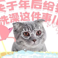 蛇年新篇：关于年后给猫洗澡这件事儿