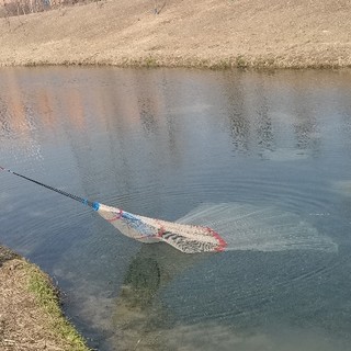 大年初一去村河边看捕鱼