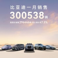 比亚迪1月销量突破30万辆，技术驱动成就市场王者