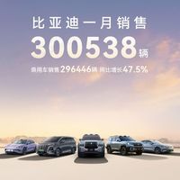 中国销冠实至名归！比亚迪 25 年 1 月销售 30 万台！