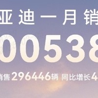 中国销冠 比亚迪25年1 月销售30万台