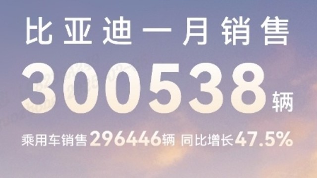 中国销冠 比亚迪25年1 月销售30万台