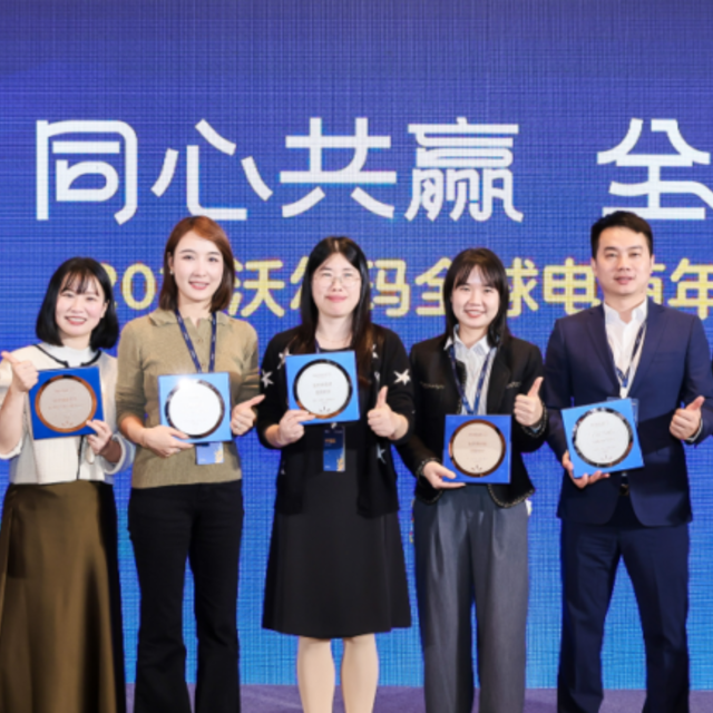 Dowsure豆沙包荣获沃尔玛全球电商🥇2024年度「创新贡献奖」