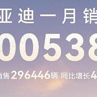 比亚迪2025年1月再夺销冠，技术驱动领跑市场