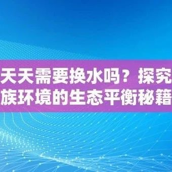 鱼天天需要换水吗？探究水族环境的生态平衡秘籍
