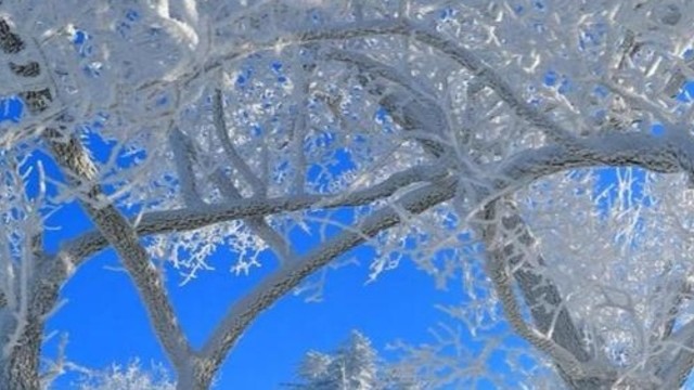 冰城寻雪记：春节的冬日绮梦