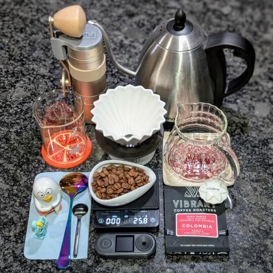 25.01.31 莉莉珠忘忧草？