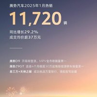 中国销冠，比亚迪1月销量超30万辆