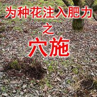 穴施：为种花注入肥力源泉