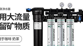 美国爱惠浦 Everpure MC2 三联水净水器——商用餐厅的净水之选