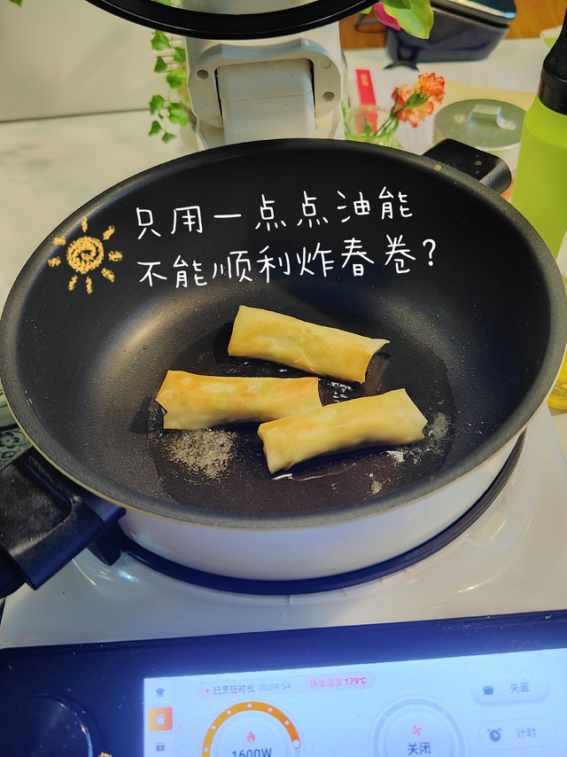 你喜欢什么馅的春卷? 只用一点点油能不能炸春卷?