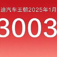 比亚迪一月销量再夺冠，全球布局展现强劲增长势头