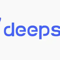 为什么全网都在「吹」DeepSeek？真相可能和你想的不一样