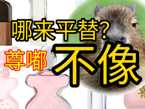 桃丝熊香水测评|平价又好闻的香水！但不是平替！