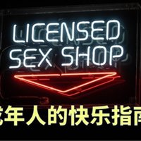 当代青年的快乐自救指南：让成年人脸红心跳的好玩意