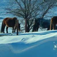 看雪就去北方瞧瞧