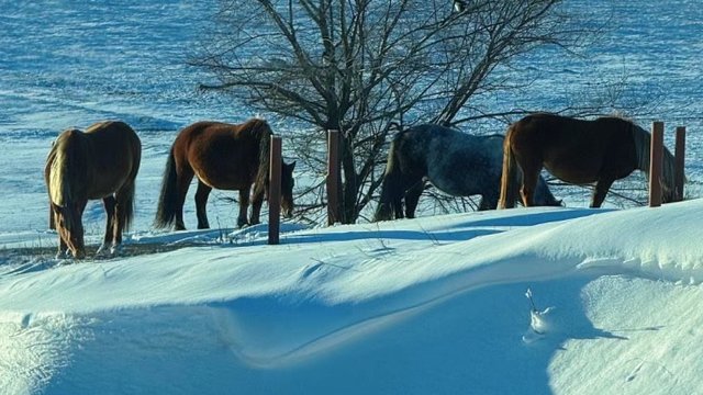 看雪就去北方瞧瞧