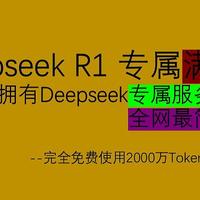 Deepseek R1 满血版-服务器线路接入操作流程