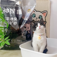 告别猫砂烦恼，神经猫矿砂猫砂来拯救