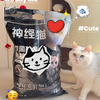 铲屎官必看！神经猫混合猫砂，除臭无尘的宝藏之选