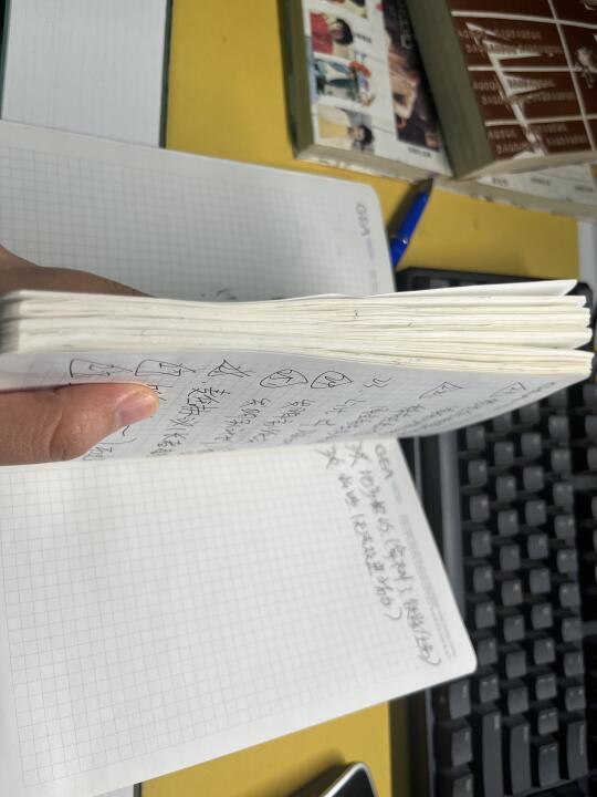 玩荒野大镖客2记笔记快用光一个本子