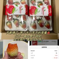 京东自营最差的生鲜，金奖级大凉山草莓，所谓的9甜1酸，就这？