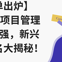 【榜单出炉】2025年项目管理工具10强，新兴软件排名大揭秘！