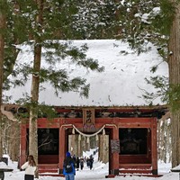 请一定要去一次户隐神社！