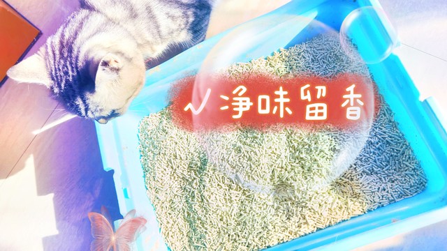 只是憨仕的这款豆腐猫砂，让我心情美丽度翻了好几翻。