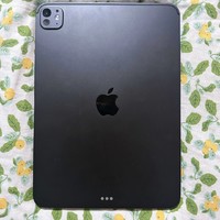 iPad Pro 11英寸 2024款深空黑，超酷超能打！