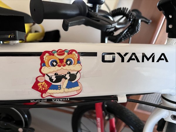 蛇年开工第一骑