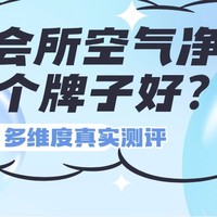 SPA会所空气净化器哪个牌子好？