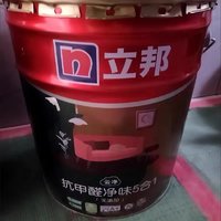 立邦金装净味五合一乳胶漆：环保家居新选择