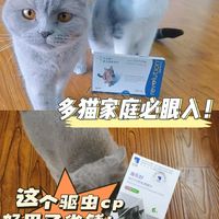 🐱大宠爱+海乐妙，多猫家庭平价宝藏驱虫CP推荐🐱