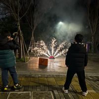 元宵节放烟花：点亮夜空的传统浪漫